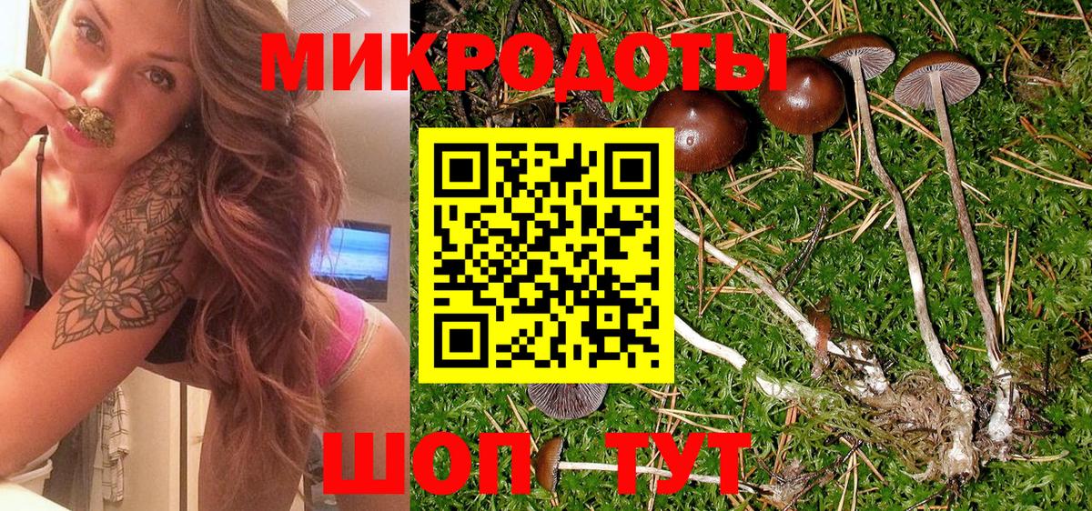 купить   Вход с VPN  Спасск-Дальний  Галлюциногенные грибы MAGIC MUSHROOMS 